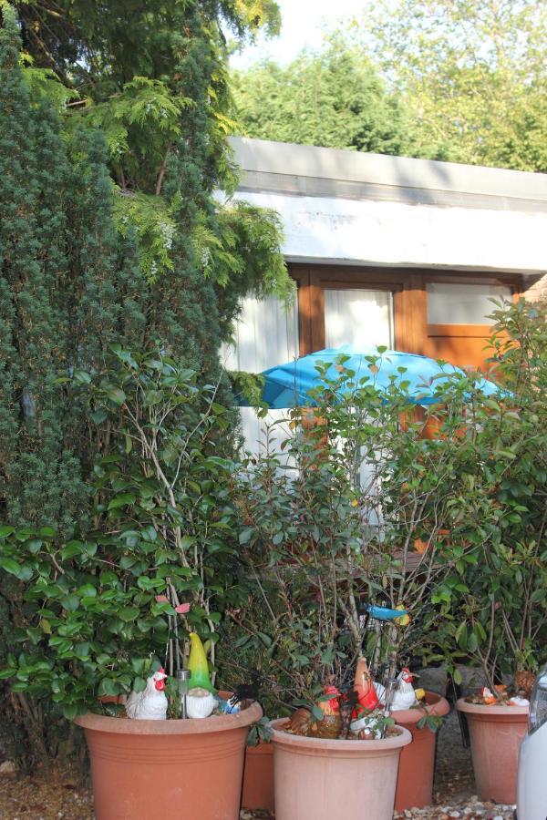 Ferienwohnung Fellnasen Wg Krefeld Ngoại thất bức ảnh